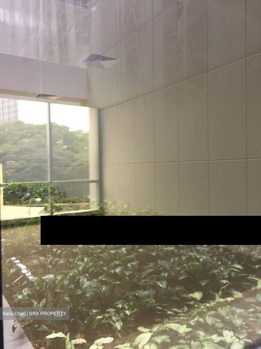 Sbf Center (D1), Office #297073781